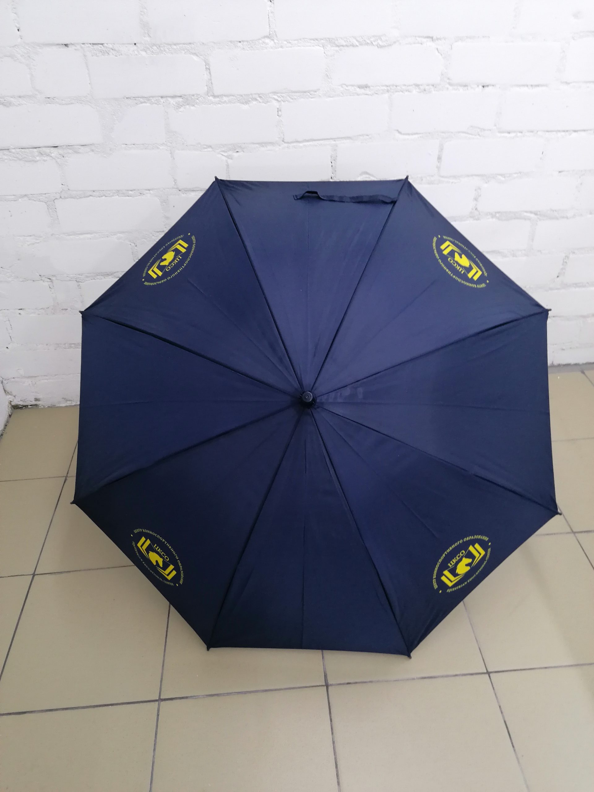 Синий зонт с логотипами